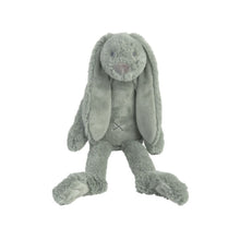 Load image into Gallery viewer, Richie Rabbit Stuffed Animal
